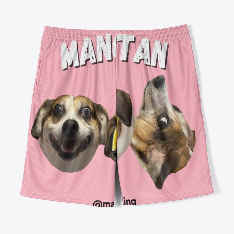 the stan