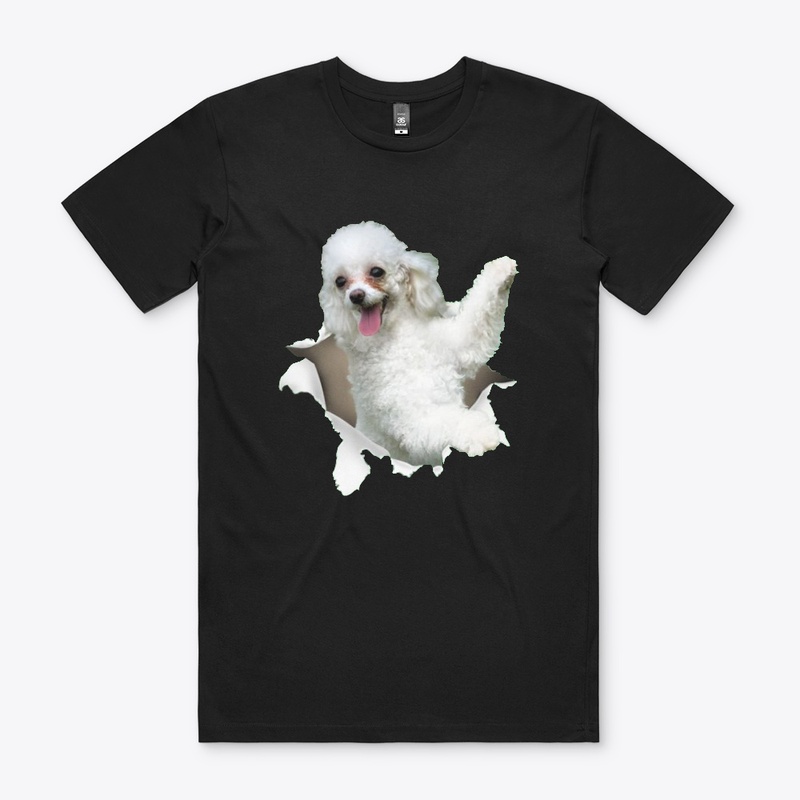 Poodle T Shirt 