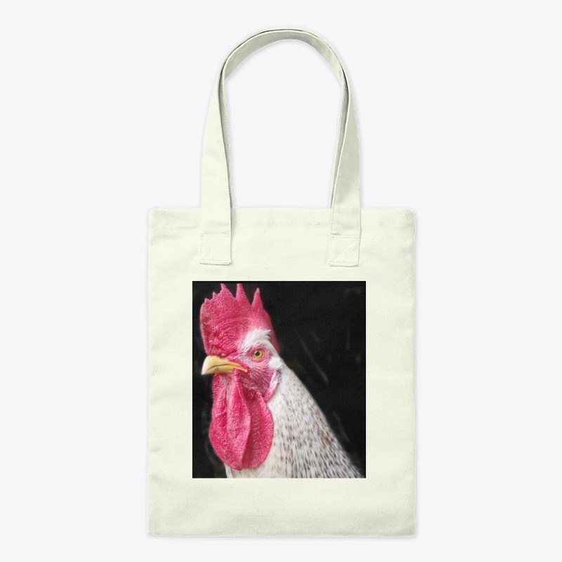 rooster chicken farm animal