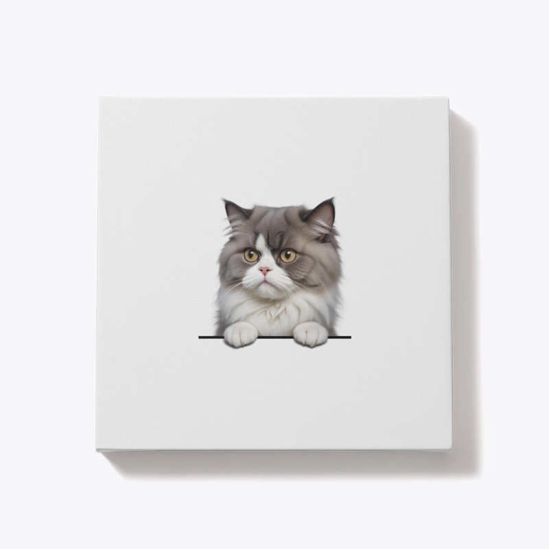  The Fluffy Persian Cat  Collection