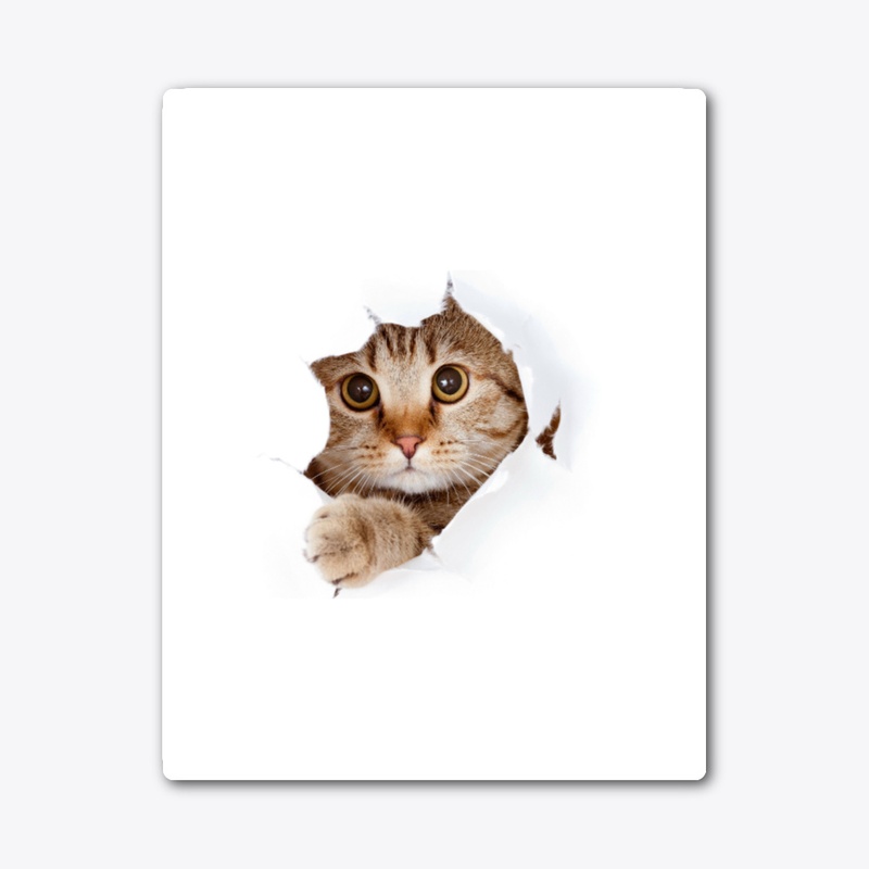 Cat Lover