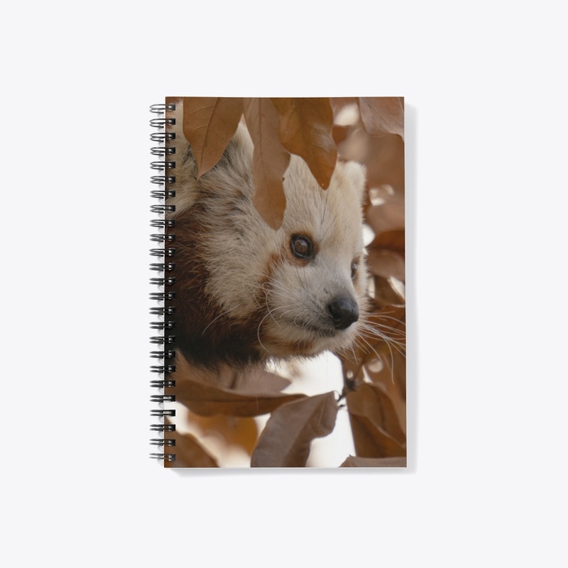 Red Panda