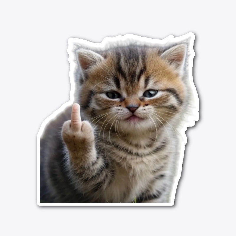 F You Cat