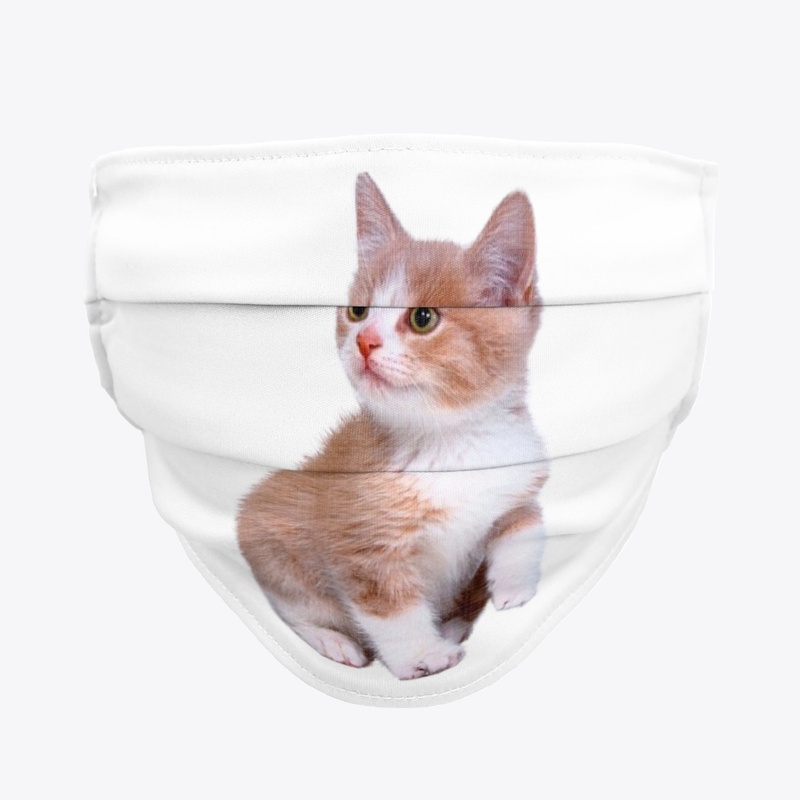 FUNNY SHOCKED CAT