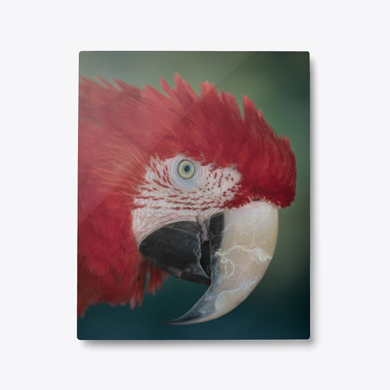 Birds of a feather 1