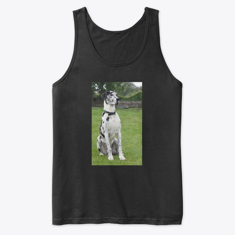 Great Dane T Shirt