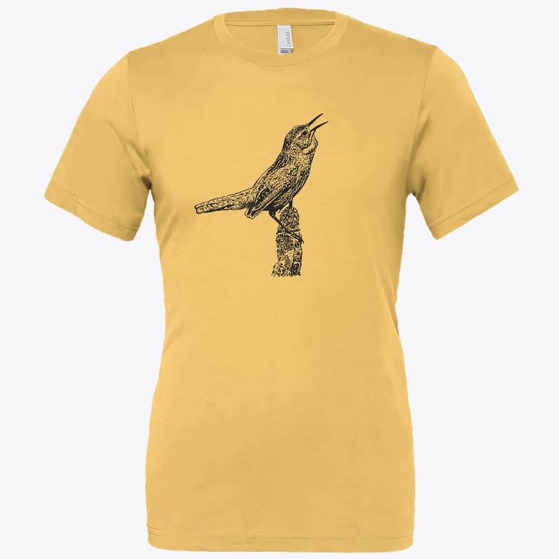 Marsh Wren