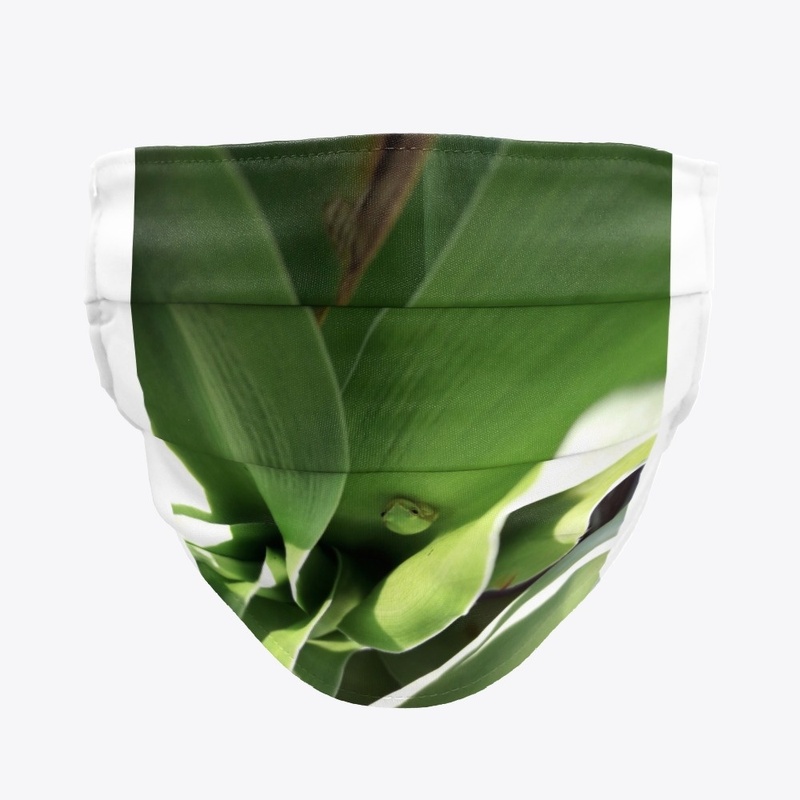 Green frog