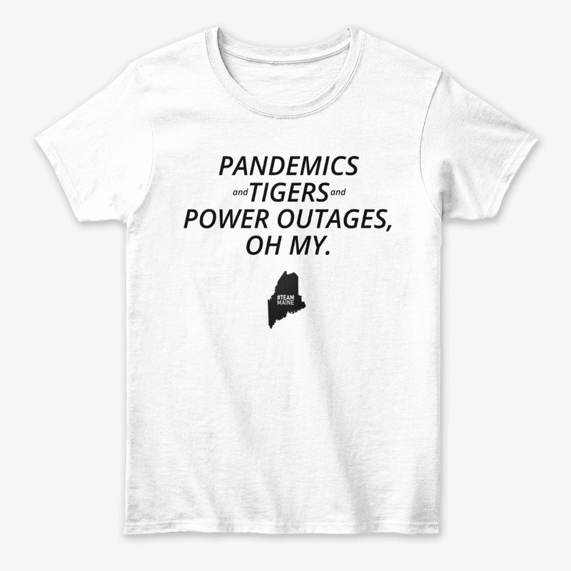 Team Maine -Pandemics Oh My (B)