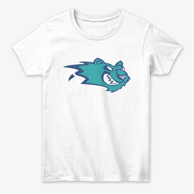 Worcester IceCats Hockey