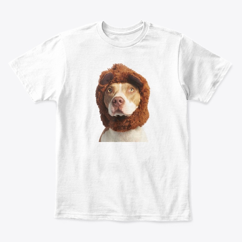 Pitbull australien