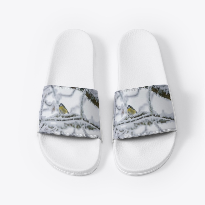 produtos   top 10 lindos demais