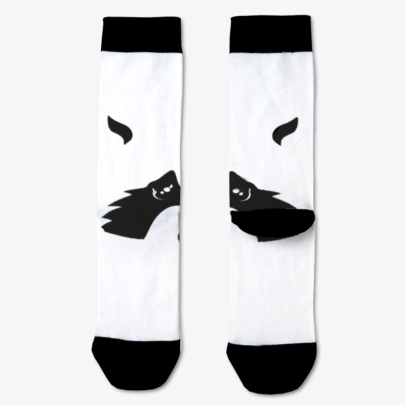 Raccoon