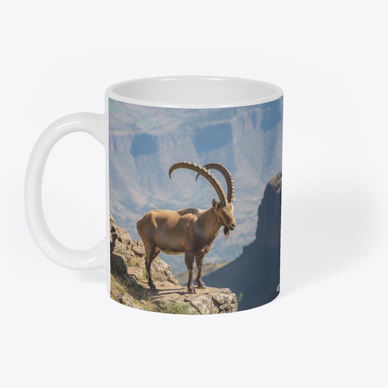 Ethiopian Ibex