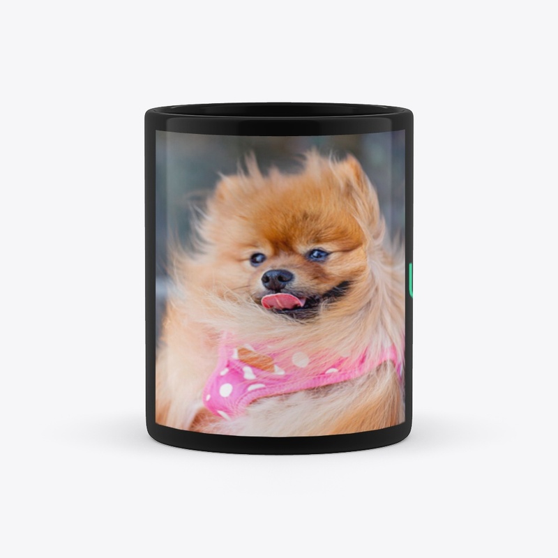 UJ mug 