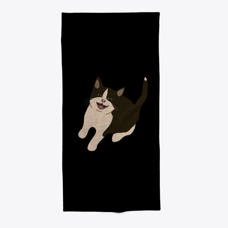 Spooky The Cat Home II