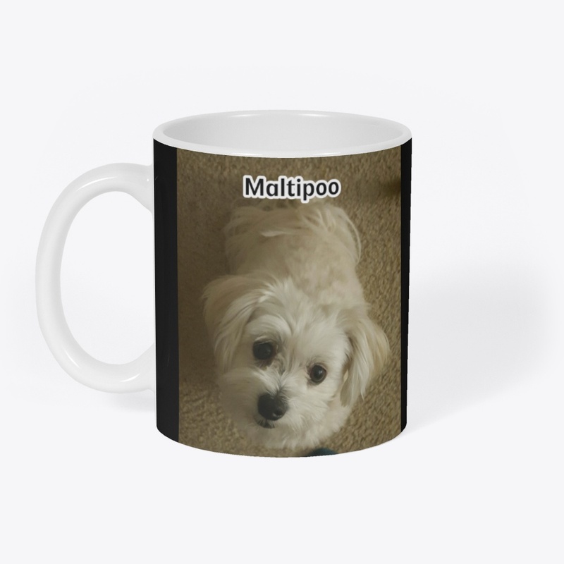 Maltipoo