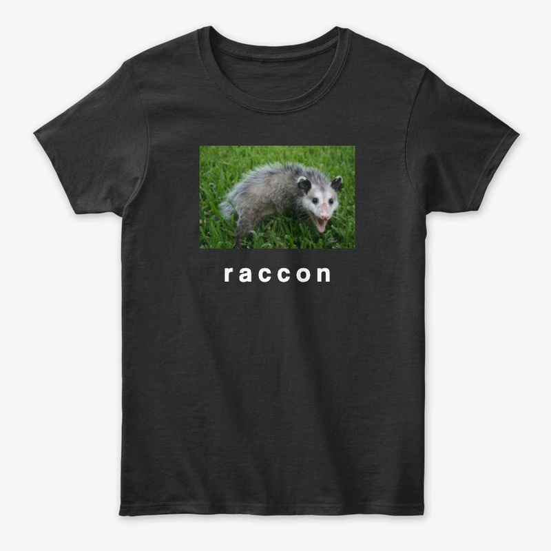 raccon