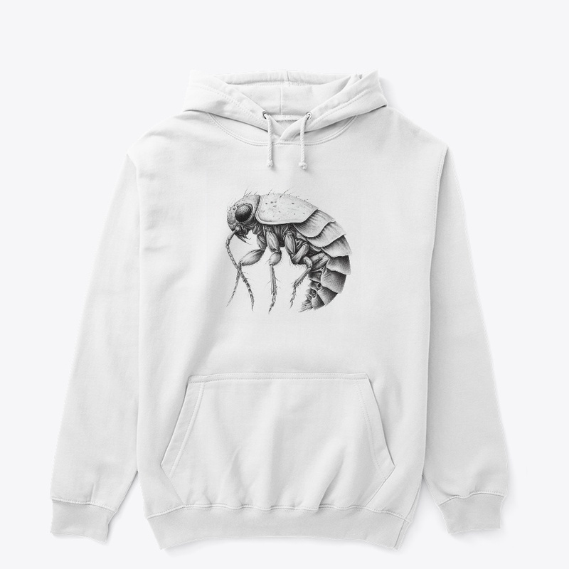 insect