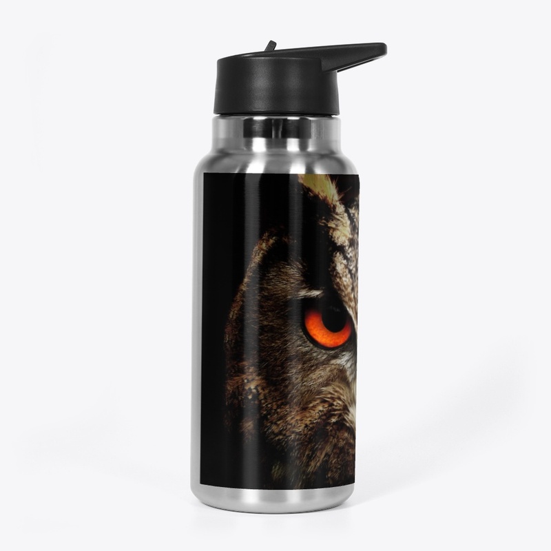Owl Over