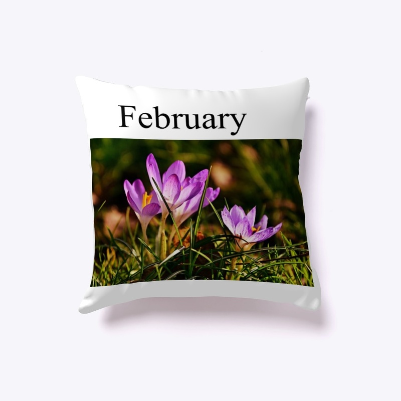 February Cushion