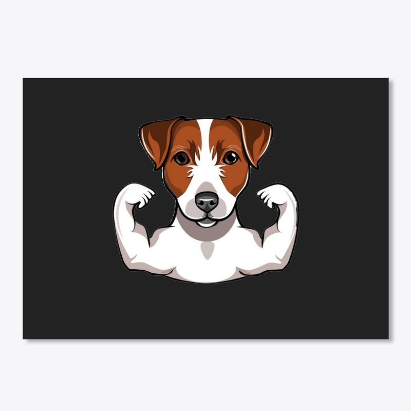 Jack Russell Terrier with muscule