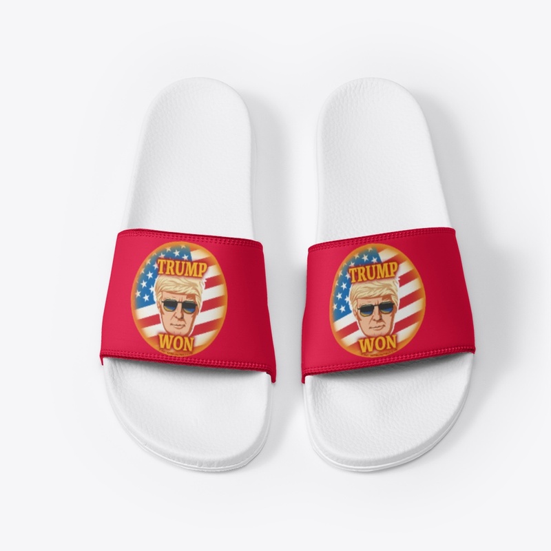 TRUMP WON SLIDES