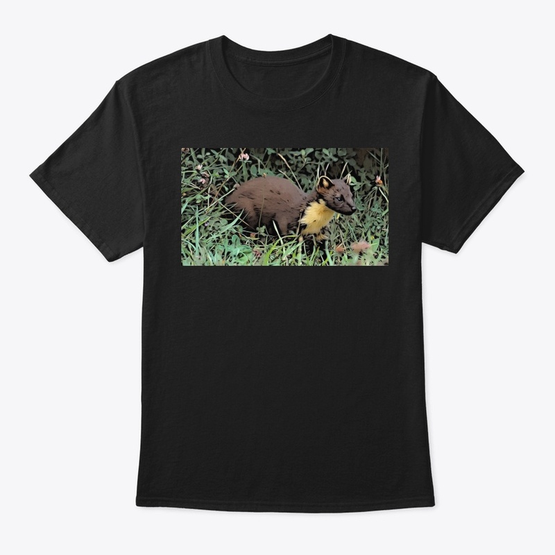 Pine Marten