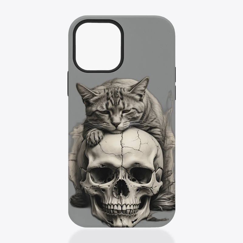 Phone case and pillow 