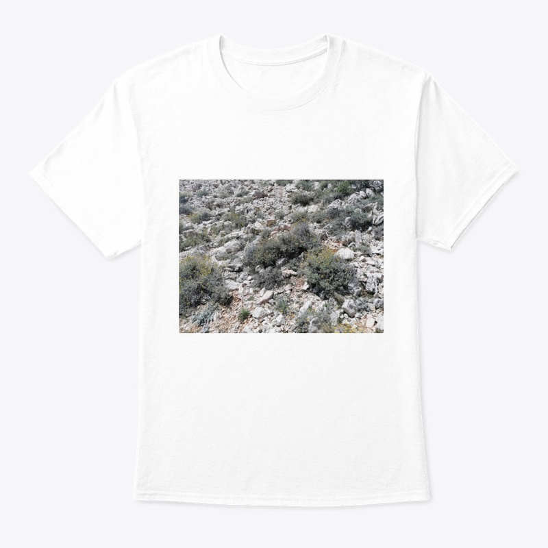 Immortelle