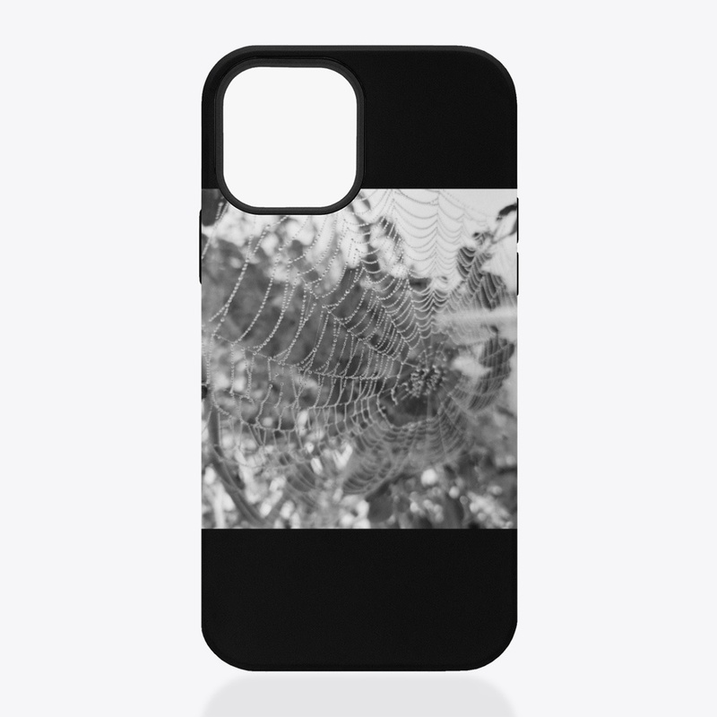 Spiderweb