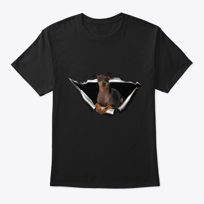 English Toy Terrier
