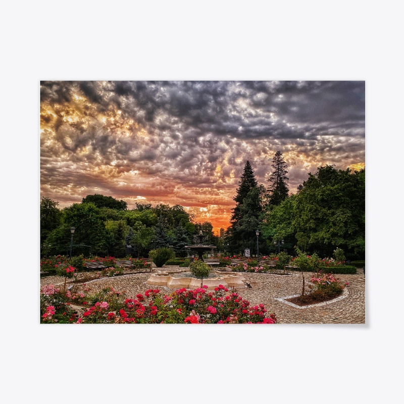 Sofia, Bulgaria-Rose Garden