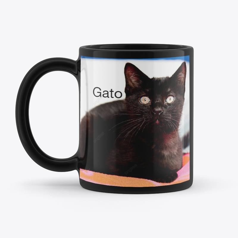 O Gato