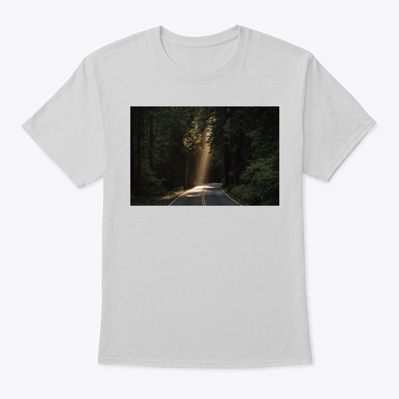 Apperals - Road in Forest Party Wear