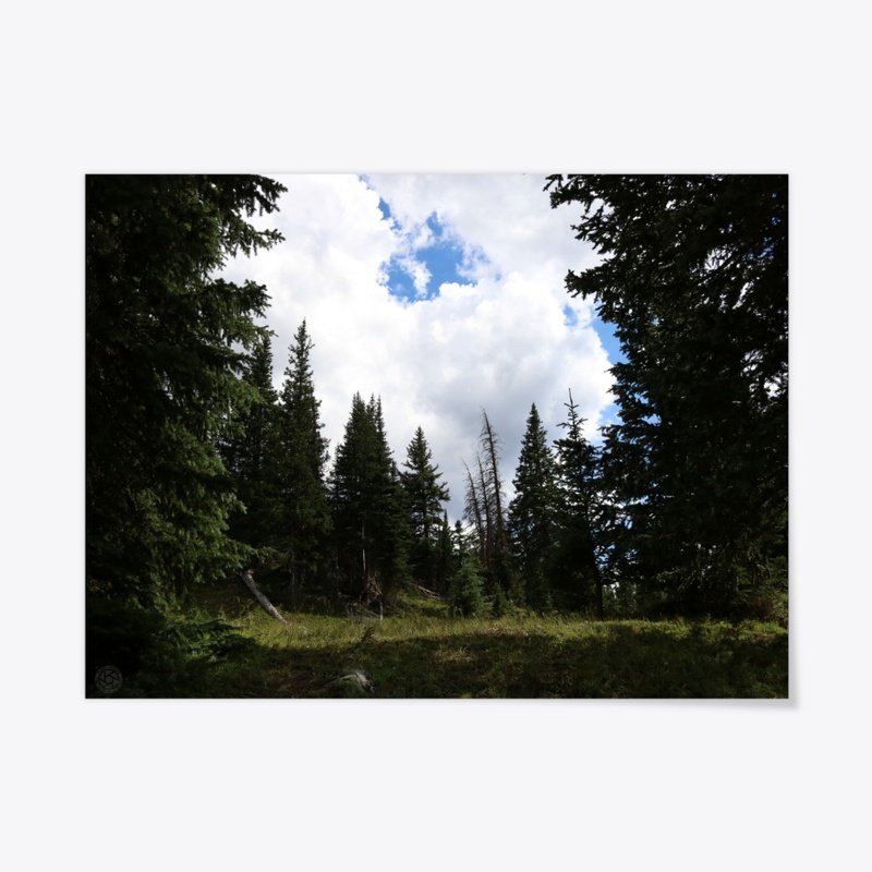 Colorado 29