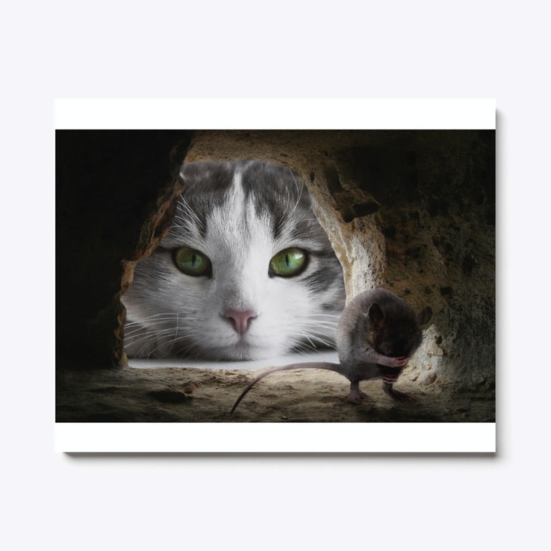 hunting cat