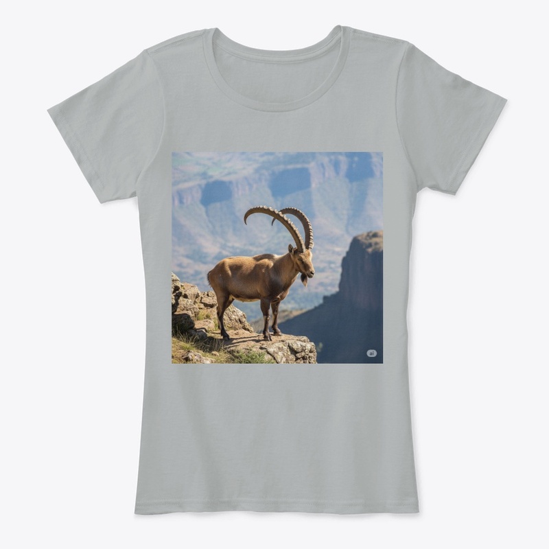 Ethiopian Ibex
