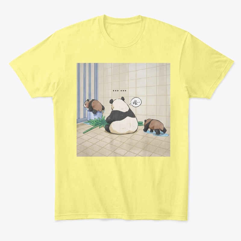 RUIBAO HUIBAO🐼Giant Panda