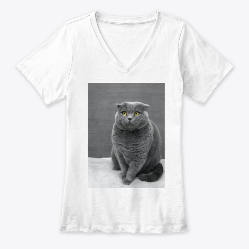 I LOVE MY CAT