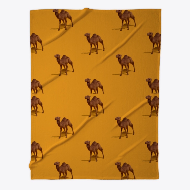 Camel Crazy 