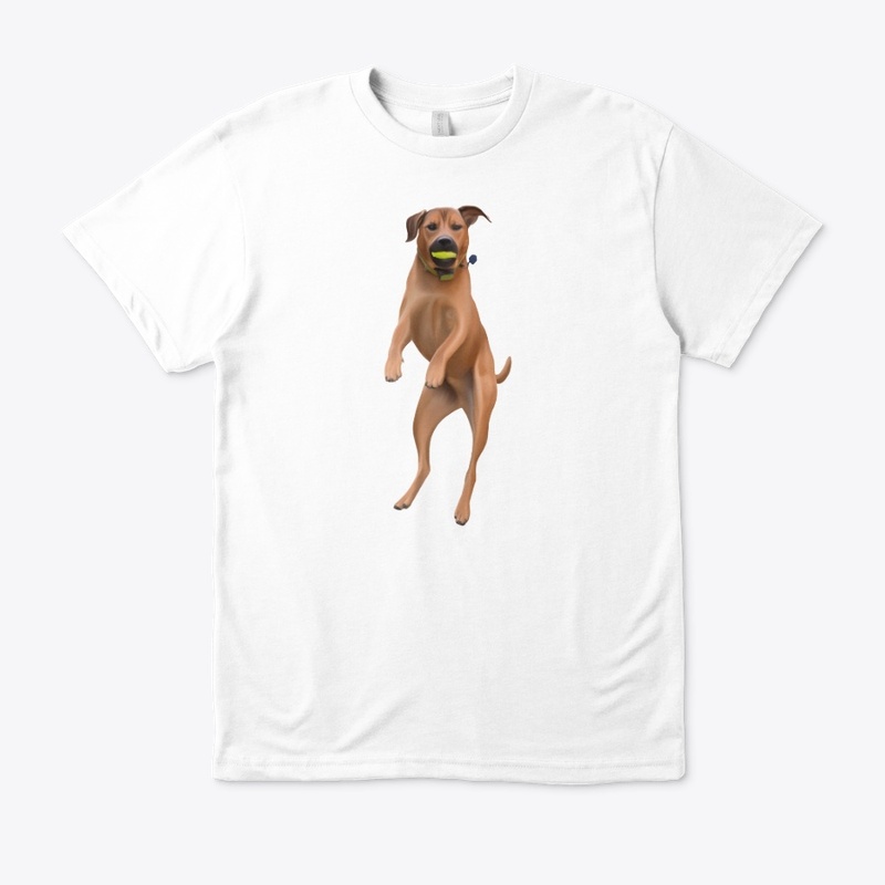 Jumping Dog with Ball