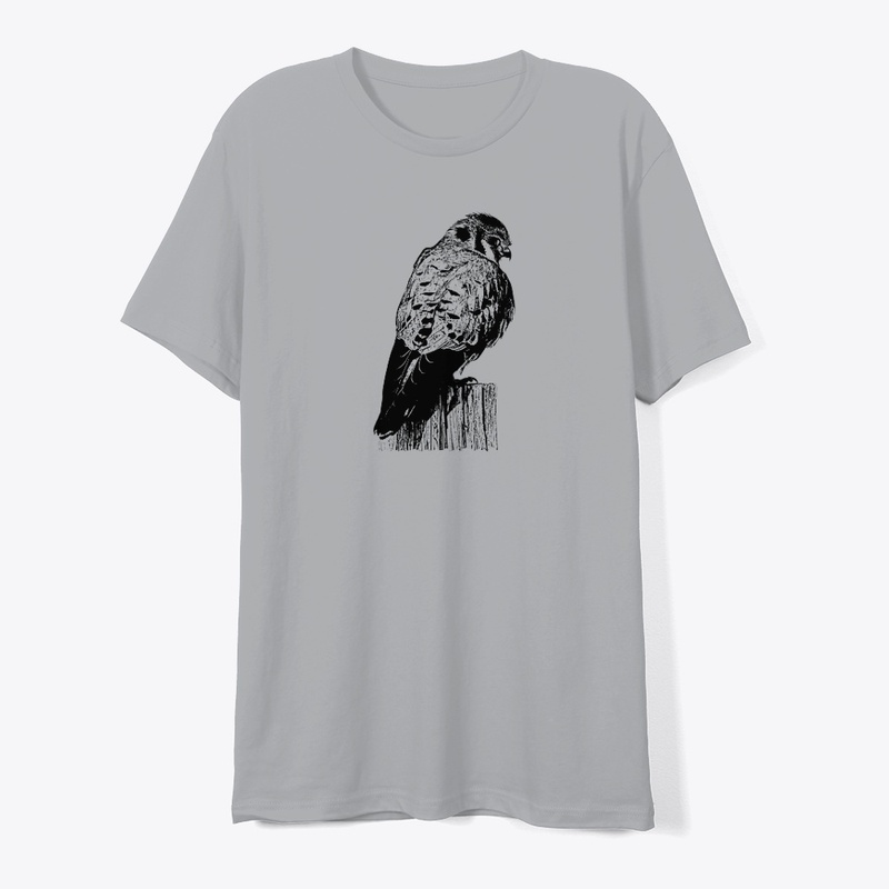 American Kestrel Birdwatching