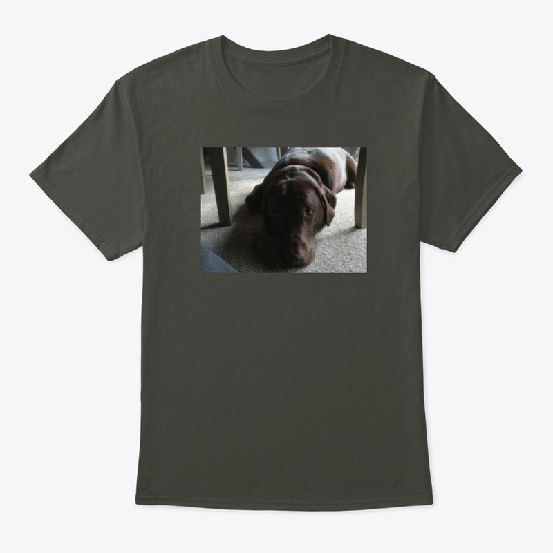 Labrador