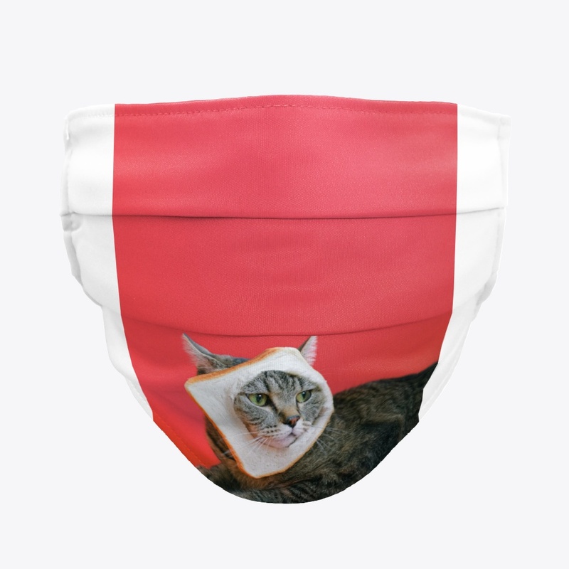 funny cats