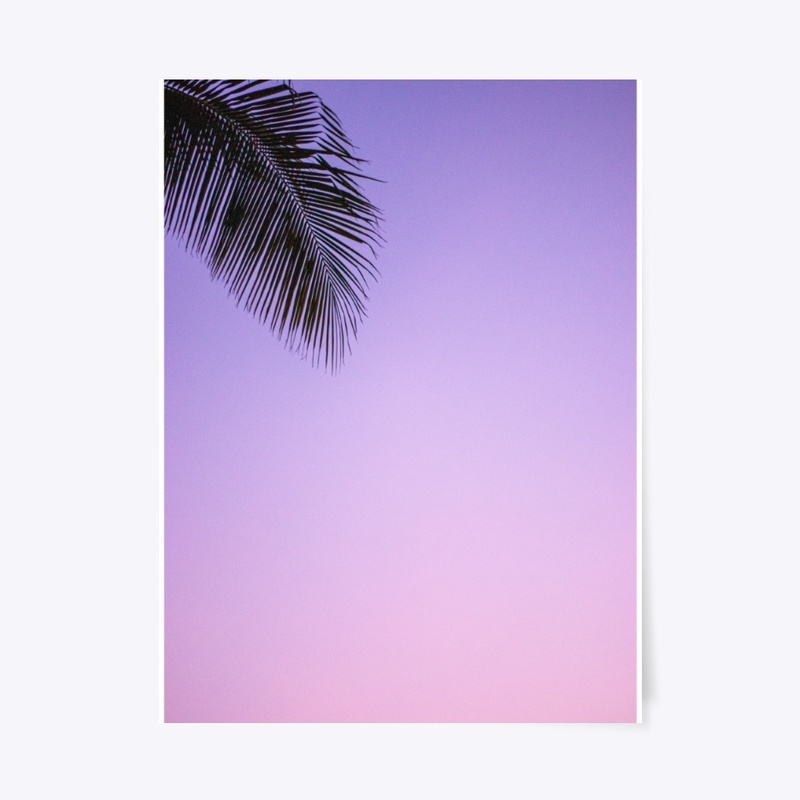 Purple Palm Trees
