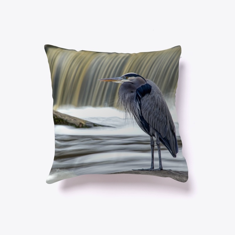 Great Blue Heron at Waterfall