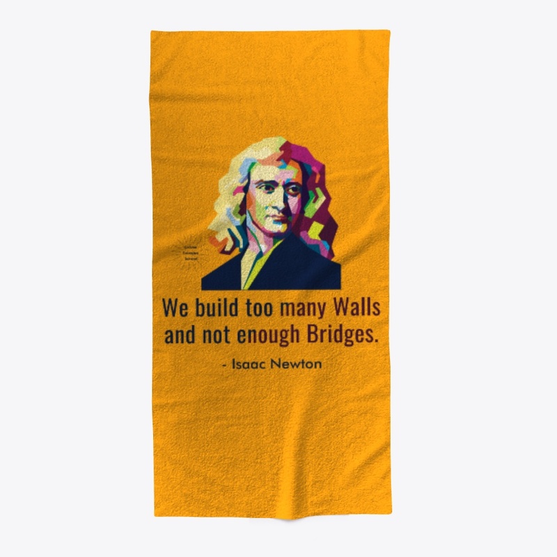 Newton's Bridge Design