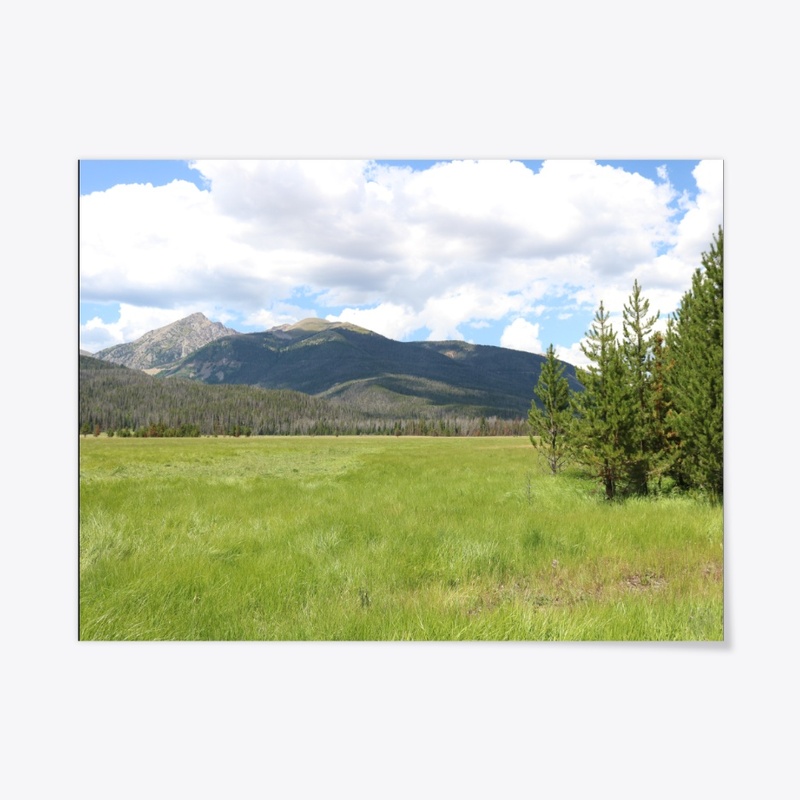 Colorado 19