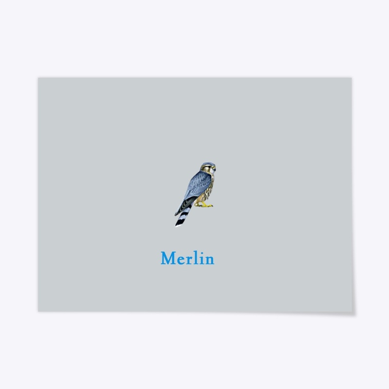 Merlin Wall Art